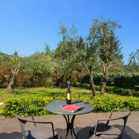 Ambrosia Sami By Willa Karavomylos